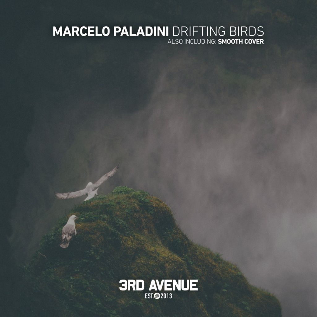 Marcelo Paladini - Drifting Birds [3AV234]